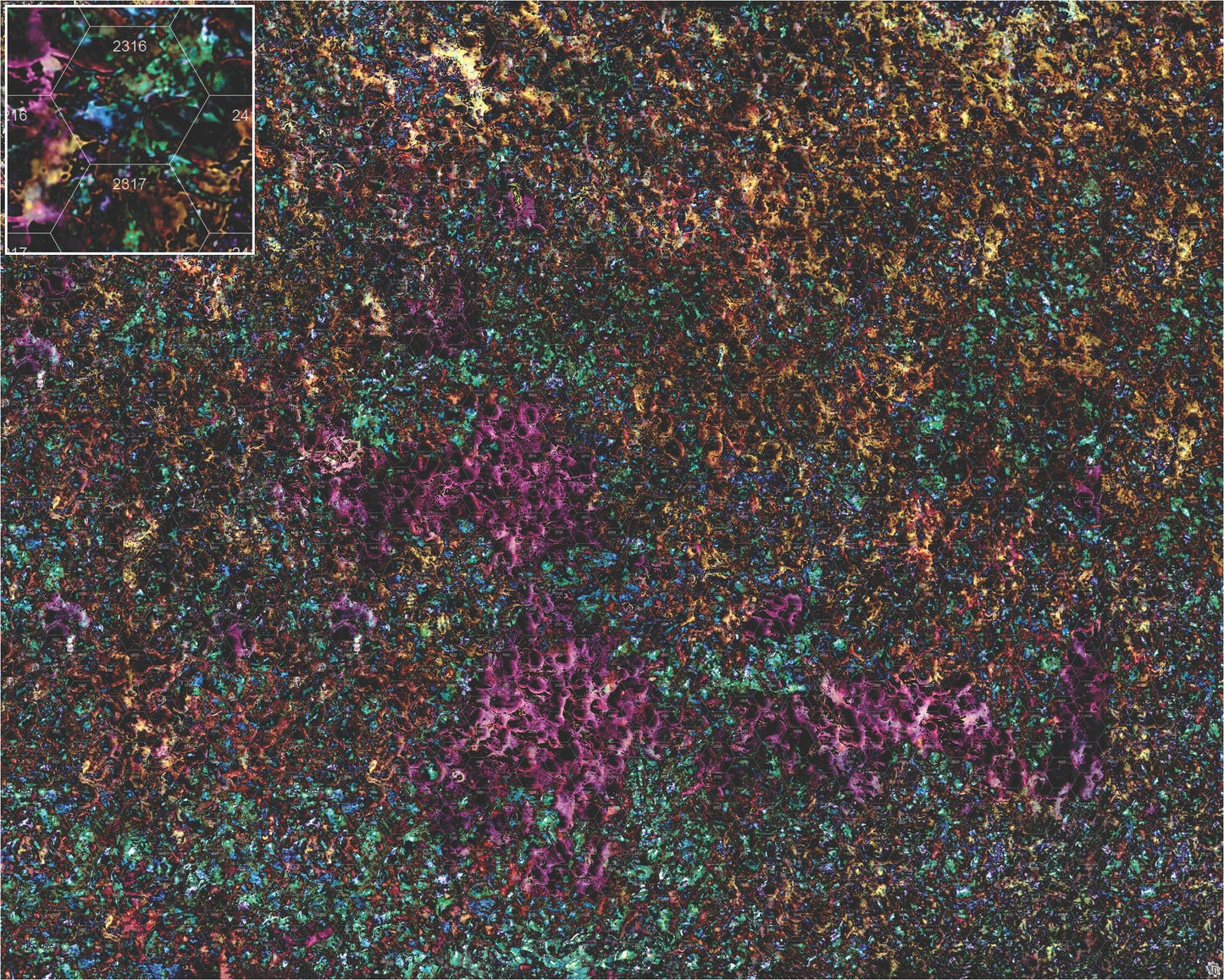 Mats by Mars: Mushroom Forest Tabletop Wargaming Play Mat