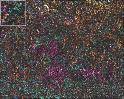 Mats by Mars: Mushroom Forest Tabletop Wargaming Play Mat