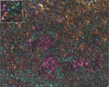 Mats by Mars: Mushroom Forest Tabletop Wargaming Play Mat