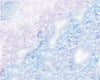 Mats by Mars: Frozen Lake Tabletop Wargaming Play Mat