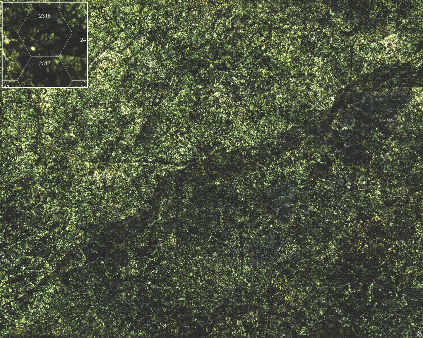 Mats by Mars: Creeping Mold Tabletop Wargaming Play Mat