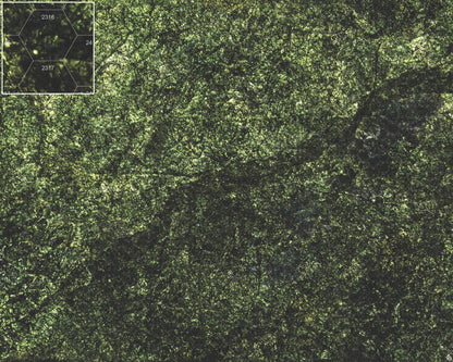 Mats by Mars: Creeping Mold Tabletop Wargaming Play Mat