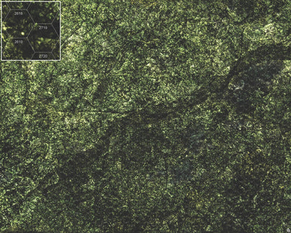 Mats by Mars: Creeping Mold Tabletop Wargaming Play Mat