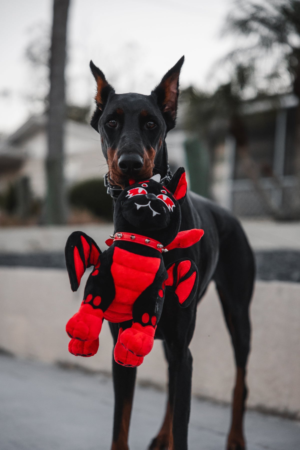 Magma - Hellhound Dog Plush Toy