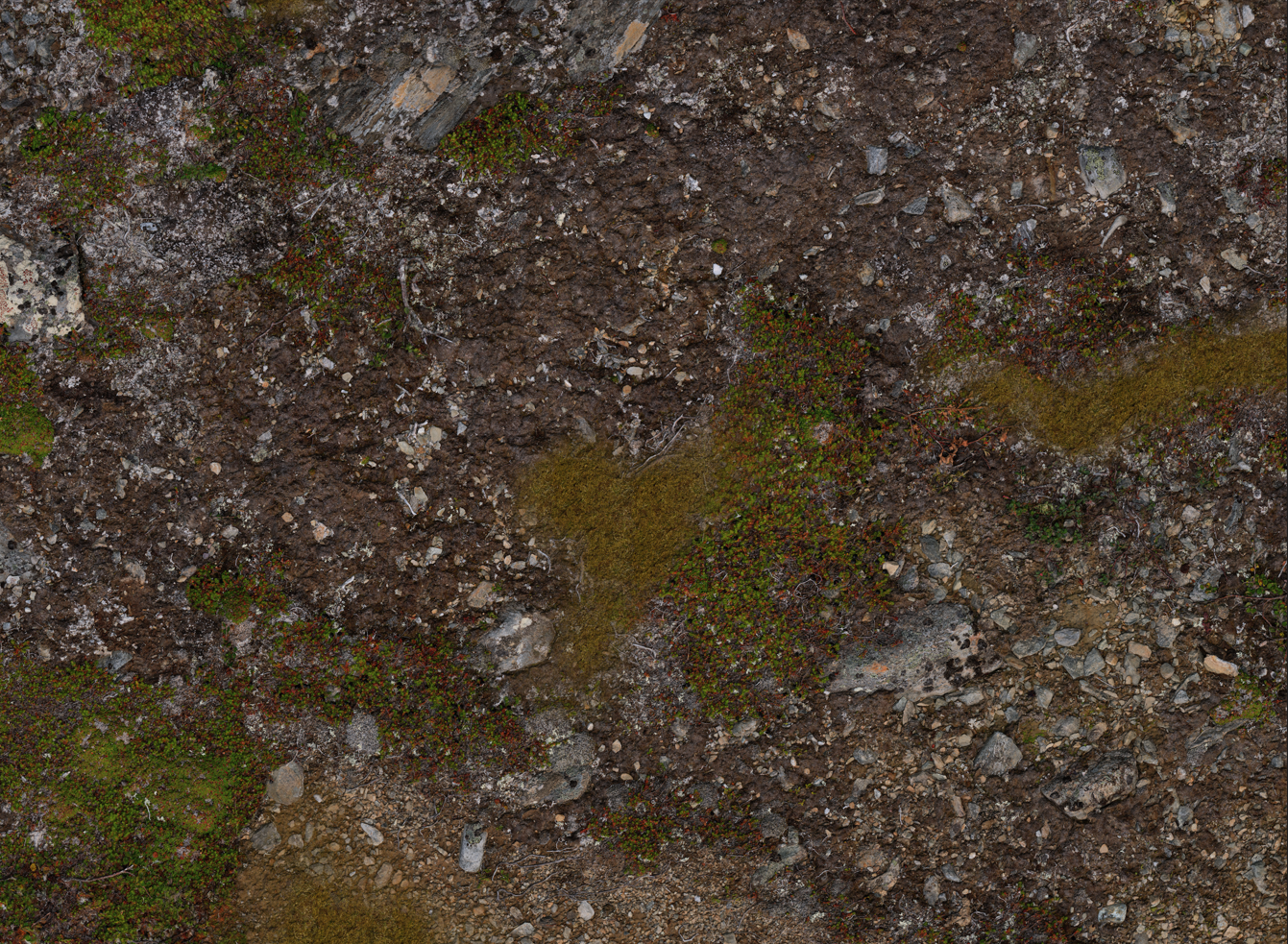 Muddy Battlefield - Neoprene Battle Mat