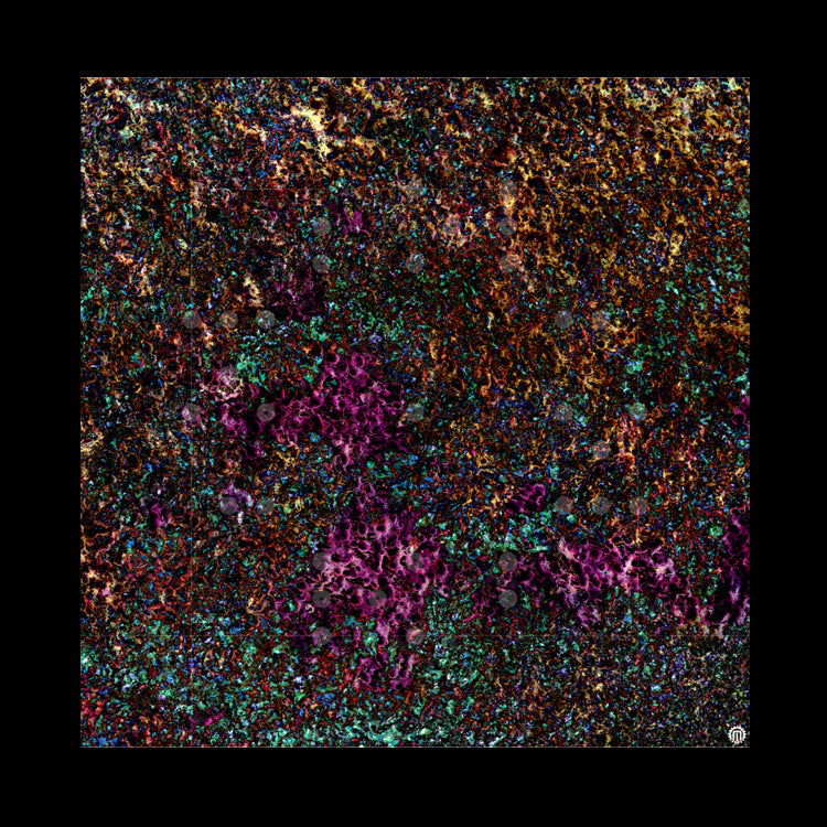 Mats by Mars: Mushroom Forest Tabletop Wargaming Play Mat