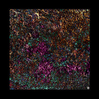 Mats by Mars: Mushroom Forest Tabletop Wargaming Play Mat