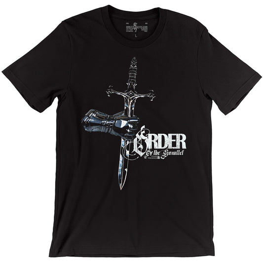 OotG - Paladin Tee