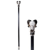Ram Horn Skull Decorative Walking Cane