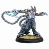 PIP73106 Fyanna Torment of Everblight Warlock Legion Hordes