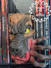 Werewolf Monster 3D Printed Book Nook- Miniatures of Madness- Unleash the Primal Power of the Night!