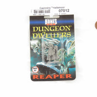 RPR07012B Caerindra Thistlemoor Miniature 25mm Heroic Scale Figure Dungeon Dwellers