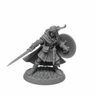 RPR07026B Mellonir Windrunner Elf Warrior Miniature 25mm Heroic Scale Figure Dungeon Dwellers