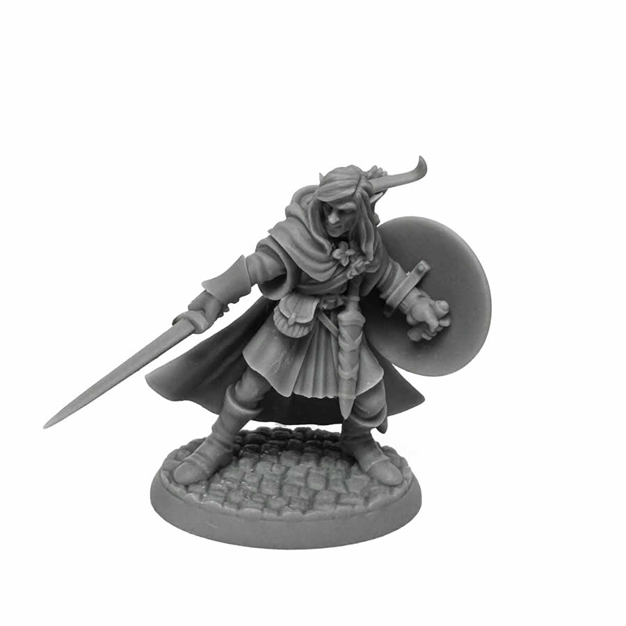 RPR07026B Mellonir Windrunner Elf Warrior Miniature 25mm Heroic Scale Figure Dungeon Dwellers
