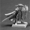 RPR60103 Anti Paladin Miniatures 25mm Heroic Scale Pathfinder Series
