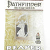 RPR60135 Aranimirim Wizard Miniatures 25mm Heroic Scale Pathfinder