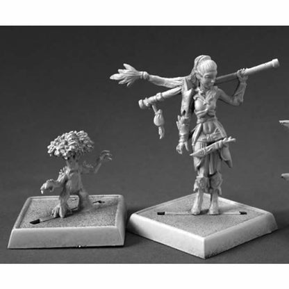 RPR60147 Druid and Familiar Miniatures 25mm Heroic Scale Pathfinder