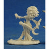 RPR89027 Lini Iconic Gnome Druid Miniature 25mm Heroic Scale Pathfinder