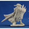 RPR89032 Anti Paladin Miniature 25mm Heroic Scale Pathfinder Bones