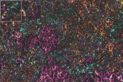Mats by Mars: Mushroom Forest Tabletop Wargaming Play Mat
