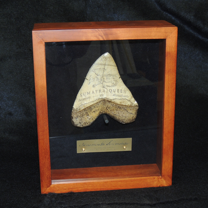 Tooth of Dagon - Innsmouth Scrimshaw