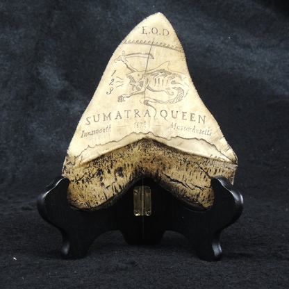 Tooth of Dagon - Innsmouth Scrimshaw