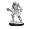 D&D: Nolzur's Marvelous Miniatures - Dragonborn Fighter Female