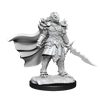 D&D: Nolzur's Marvelous Miniatures - Dragonborn Fighter Female