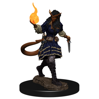 D&D: Nolzur's Marvelous Miniatures - Tiefling Sorcerer Female