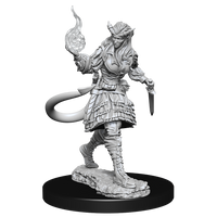 D&D: Nolzur's Marvelous Miniatures - Tiefling Sorcerer Female