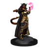 D&D: Nolzur's Marvelous Miniatures - Tiefling Sorcerer Female