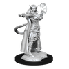 D&D: Nolzur's Marvelous Miniatures - Tiefling Sorcerer Female