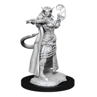 D&D: Nolzur's Marvelous Miniatures - Tiefling Sorcerer Female