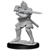 D&D: Nolzur's Marvelous Miniatures - Hobgoblin Fighter Male & Hobgoblin Wizard Female