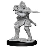 D&D: Nolzur's Marvelous Miniatures - Hobgoblin Fighter Male & Hobgoblin Wizard Female