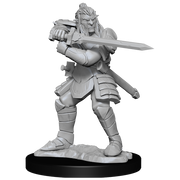D&D: Nolzur's Marvelous Miniatures - Hobgoblin Fighter Male & Hobgoblin Wizard Female