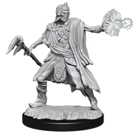 D&D: Nolzur's Marvelous Miniatures - Allip & Deathlock