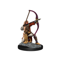 Pathfinder: Deep Cuts - Human Fighter Female