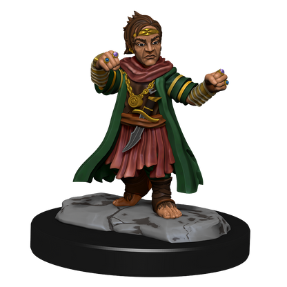 Pathfinder: Deep Cuts - Halfing Monk Male