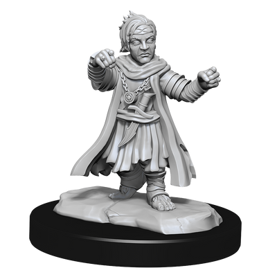 Pathfinder: Deep Cuts - Halfing Monk Male