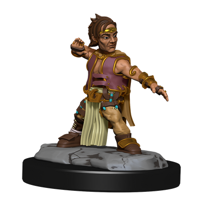 Pathfinder: Deep Cuts - Halfing Monk Male