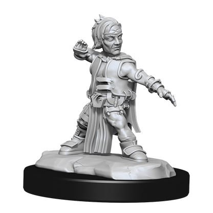 Pathfinder: Deep Cuts - Halfing Monk Male