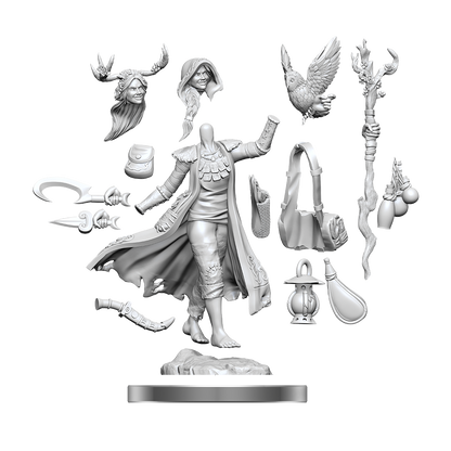D&D: Frameworks - Human Druid Female