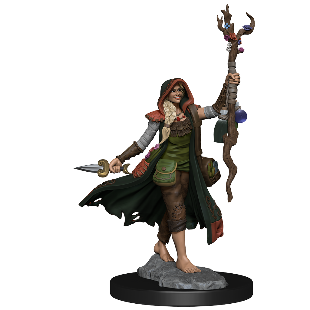 D&D: Frameworks - Human Druid Female