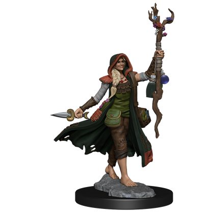 D&D: Frameworks - Human Druid Female