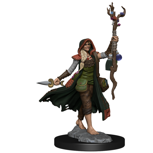 D&D: Frameworks - Human Druid Female