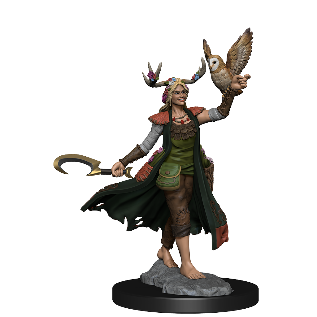D&D: Frameworks - Human Druid Female
