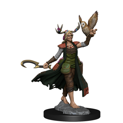 D&D: Frameworks - Human Druid Female
