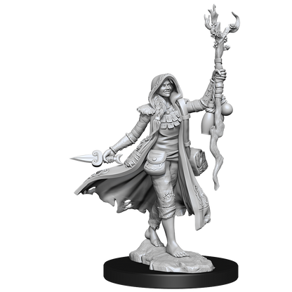 D&D: Frameworks - Human Druid Female