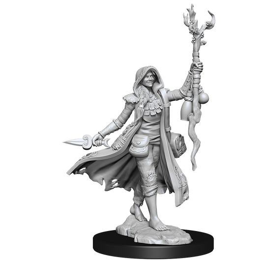 D&D: Frameworks - Human Druid Female